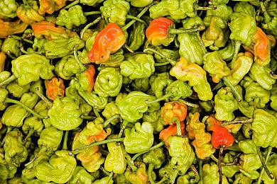 外网泄露：《星空》将包含50个成就